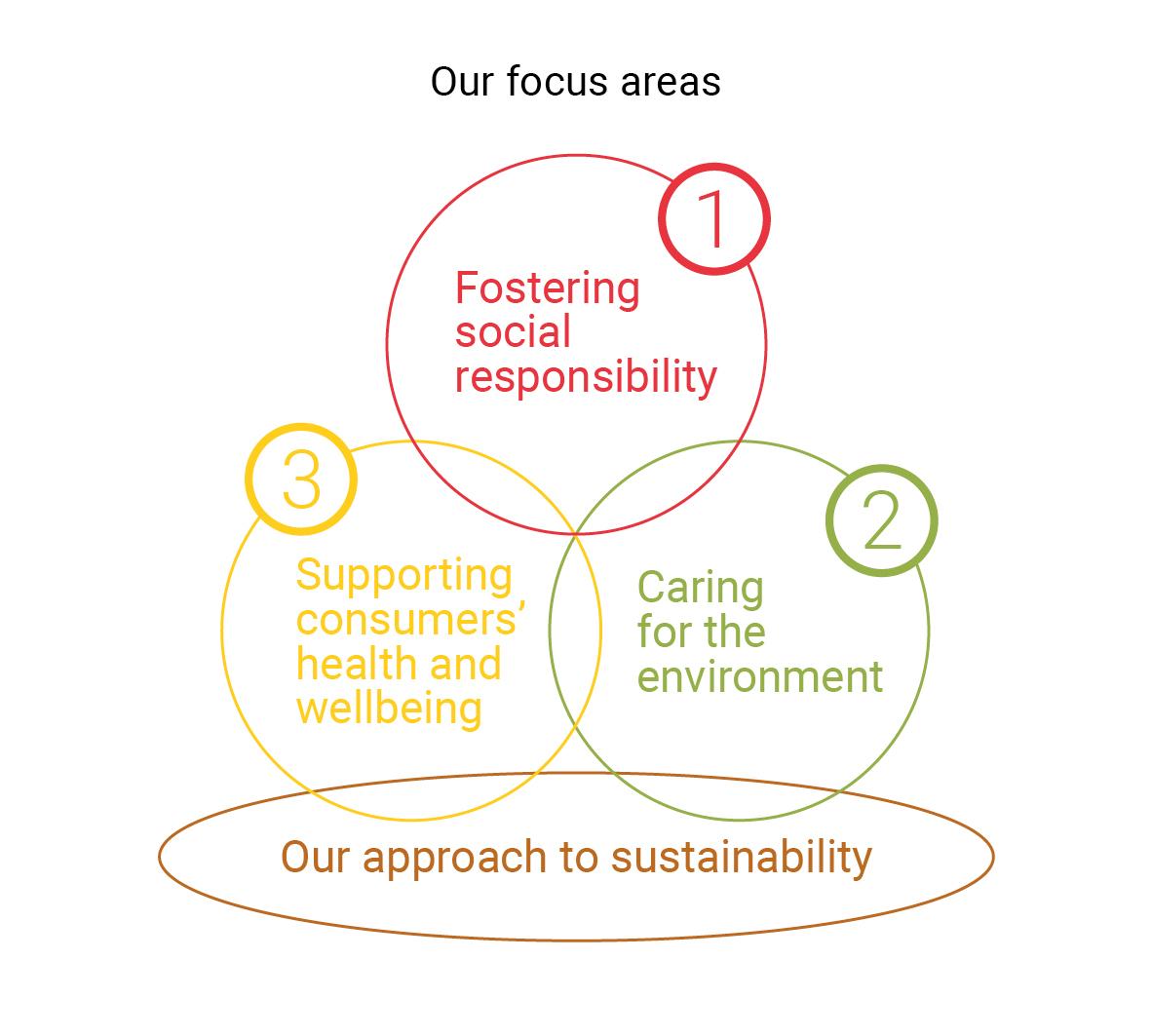 Sustainability focus areas 2018