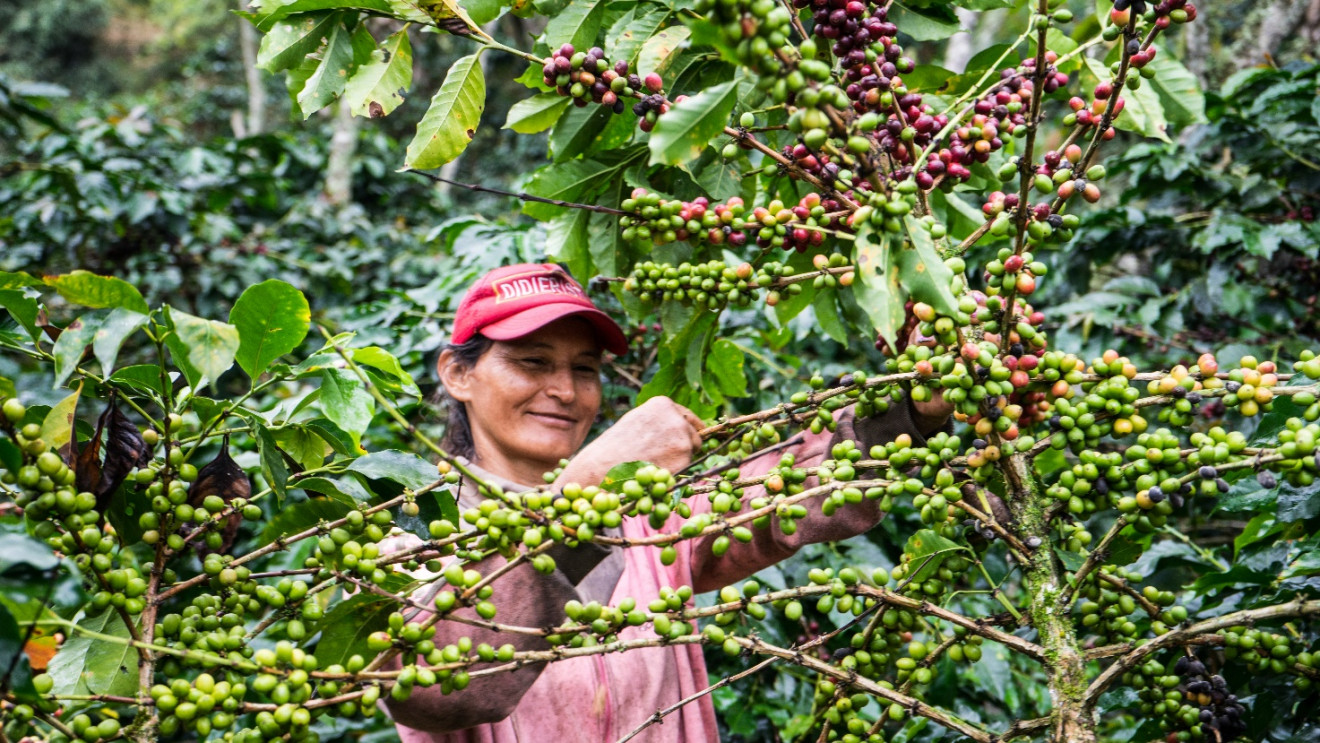 Farmer women