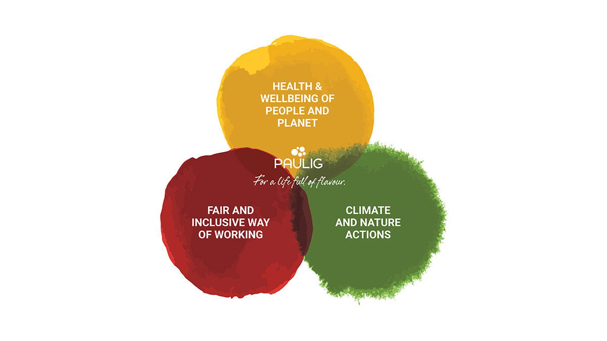 Sustainability visual no text