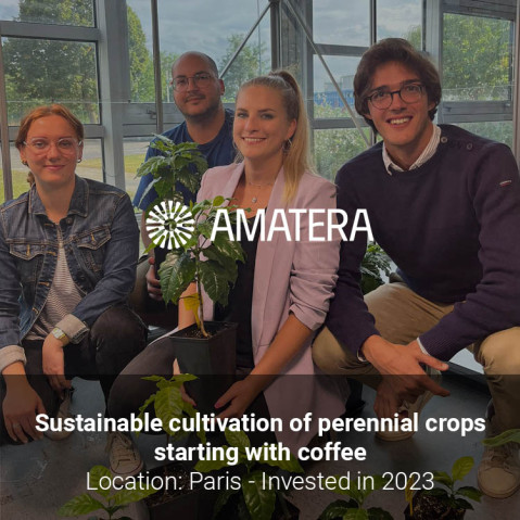 Amatera