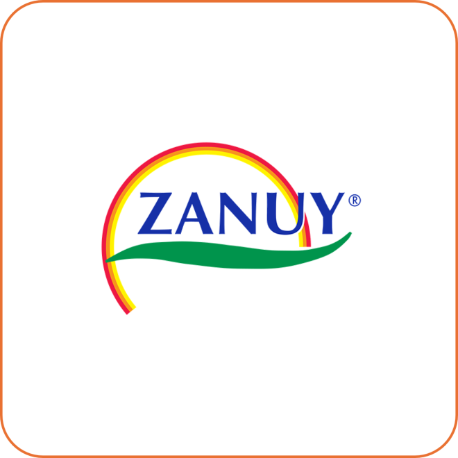 Zanuy logo