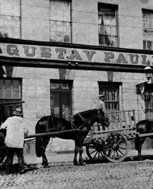 Hevoset, Gustav Paulig, Paulig Group