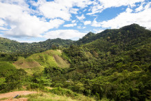 Mountains and grass