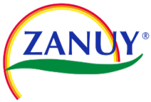 Zanuy logo