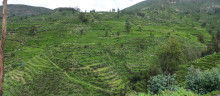 Mountains of Peru