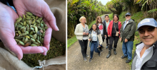 Hands holding cardamom seeds, and team visiting Guatemala