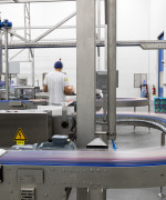 Packaging of tortillas in the new factory